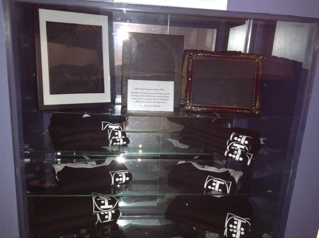 100% Real Preserved Spider Web Art